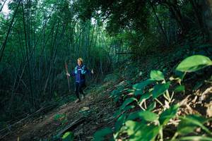 BIB: 
                            <button type="button" onclick="openModal(28124766)" class="btn btn-primary btn-sm float-right btn-popup" data-toggle="modal" data-target=".modal-high-quality">
                        <i class="fas fa-shopping-cart"></i> Add to Cart
                    </button>
                                            <button type="button" onclick="isThisMe(28124766, true)" class="btn btn-success btn-sm float-right btn-popup btn-isme hidden" data-toggle="tooltip" data-placement="bottom" title="นี่คือรูปของคุณใช่ไหม คลิกที่นี่เพื่อเอาเข้าอัลบั้ม">
                        <i class="fas fa-plus"></i> Add to album
                    </button>
                    <button type="button" onclick="isThisMe(28124766, false)" class="btn btn-warning btn-sm float-right btn-popup btn-isnotme hidden">
                        <i class="fas fa-ban"></i> Remove from album
                    </button>